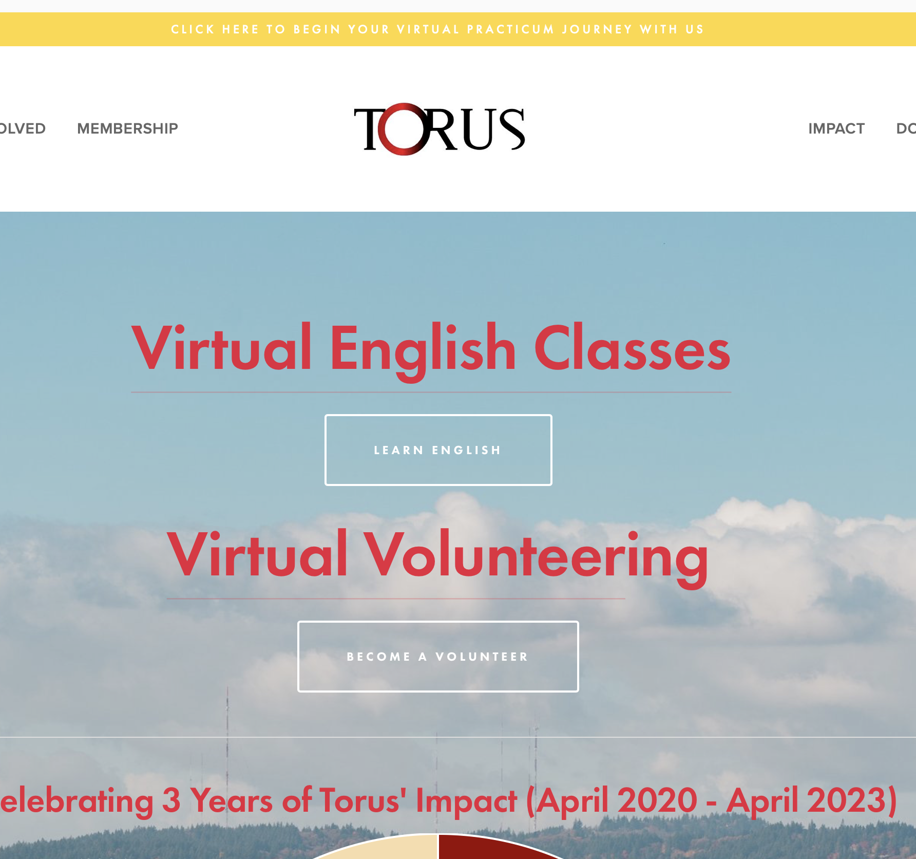 Torus Transforms homepage